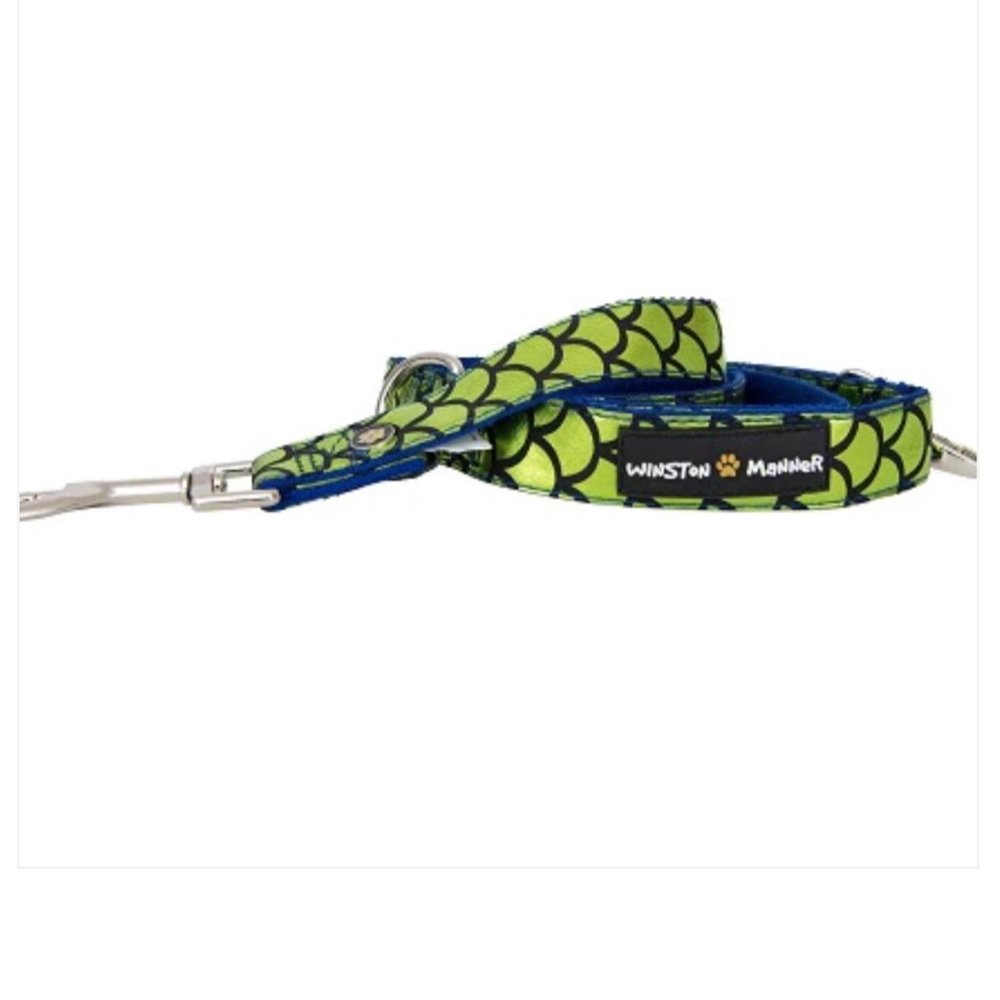 Winston Manner Designer Dog Leash in Atlantis
